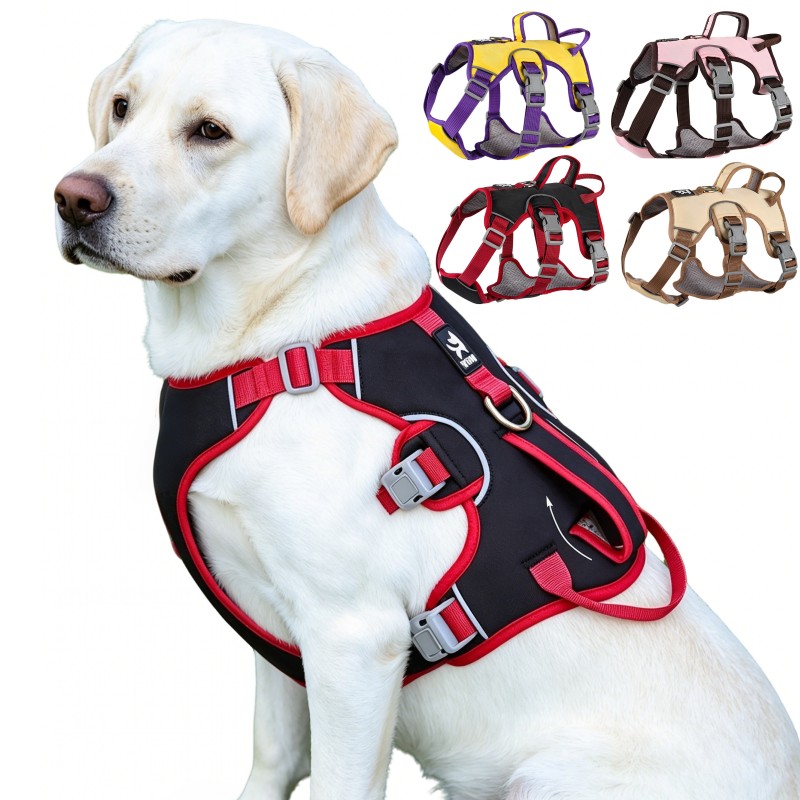 Zugsicheres Hundegeschirr für  – D Ring Strap Bewertung und Preis